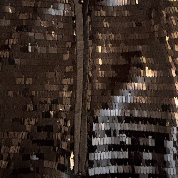 Mango Pencil Shirt Sequins Fabric Pull On with Zipper Size XXS - Picture 4 of 5